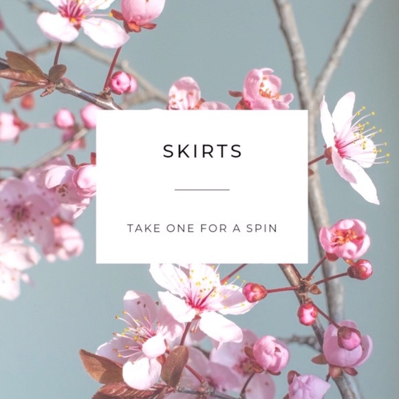 Looking for skirts? New and Like New! - Picture 1 of 1